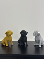 labradord dog - Image 4