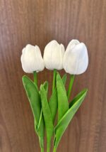 3 Tulips - Image 3