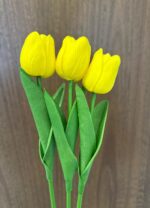 3 Tulips