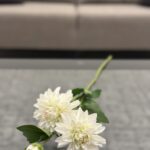 White Dahlia Stem