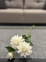 White Dahlia Stem